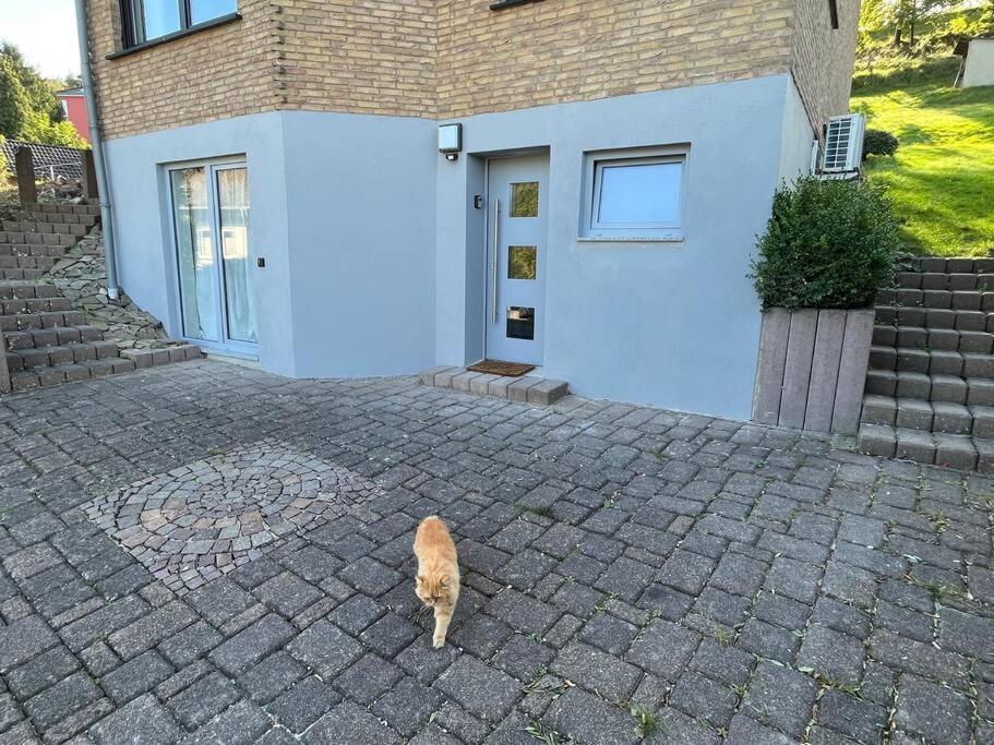 Villa Gemuetliches Feriendomizil*Eifel* Bad Muenstereifel Esterno foto